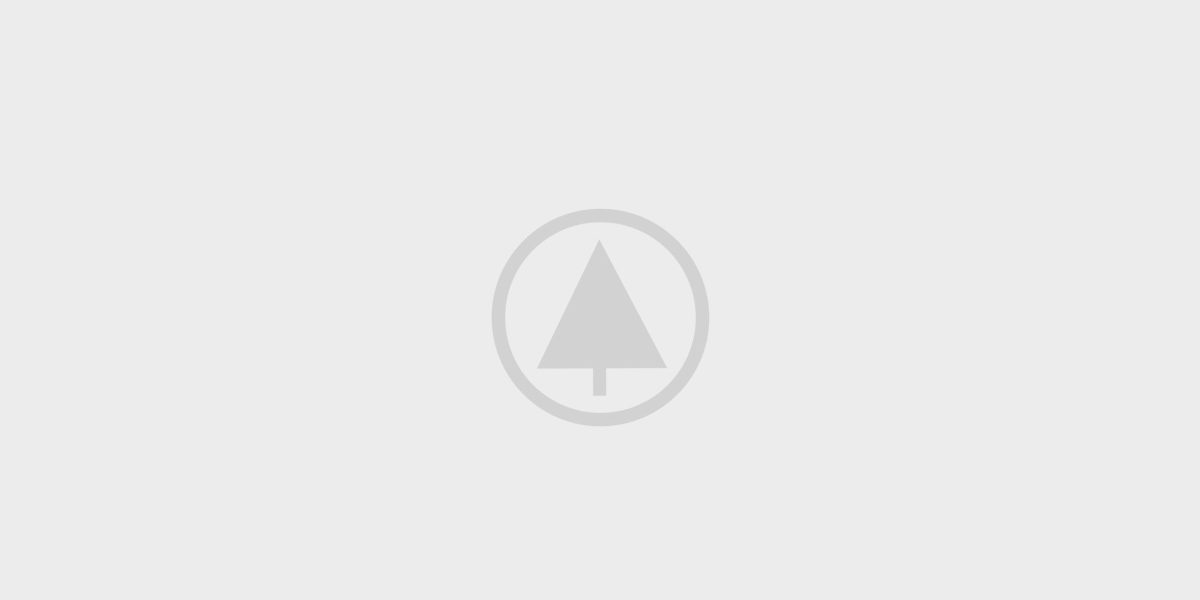 wood-gallery-placeholder-4 wood-gallery-placeholder-4